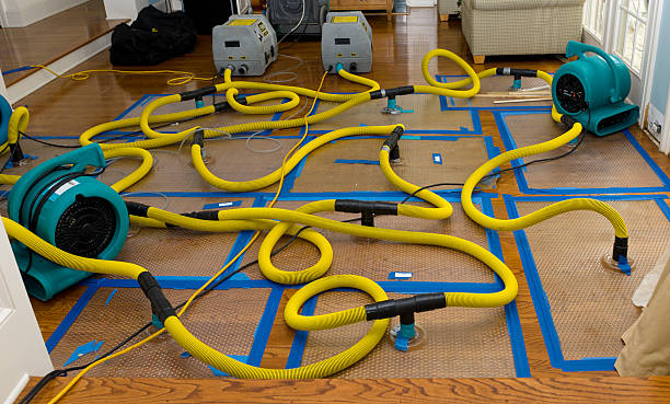 Professional Water Damage Repair technician working in Portsmouth, RI